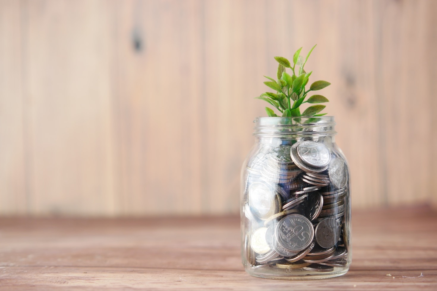 Renda Extra: Ideias Para Ganhar Dinheiro Sem Sair De Casa